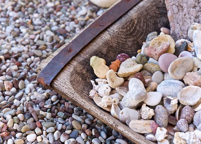 Driftwood *