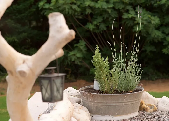 Villa Driftwood *