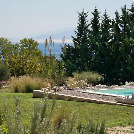 Driftwood ヴィラ *