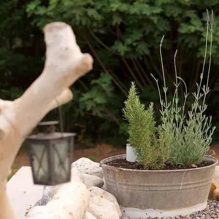 ヴィラ Driftwood *