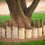 Driftwood