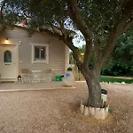 Driftwood *