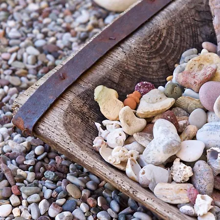 Driftwood *